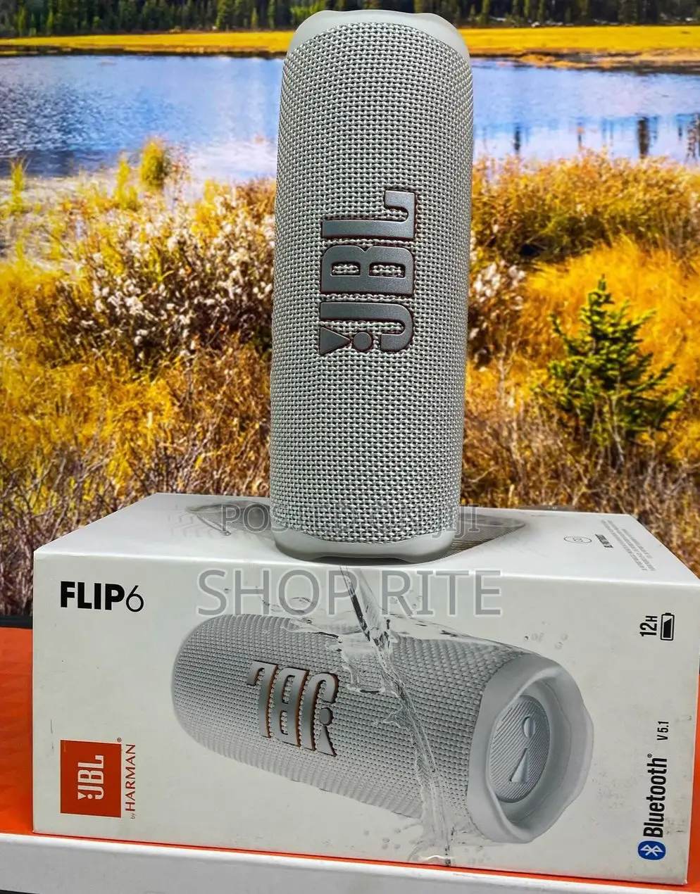 JBL Flip 6 Bluetooth Speakers Grey