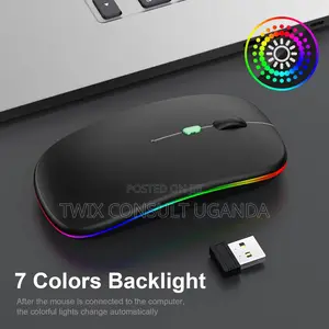 Wireless Bluetooth Dual-Mode Chargeable Mouse