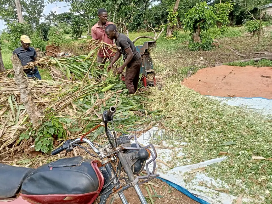 Silage Making Service