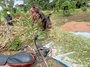Silage Making Service