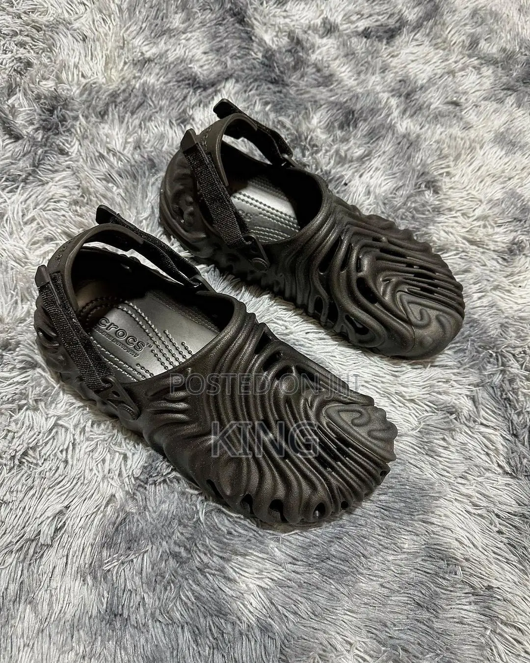 Zani Crocs Black