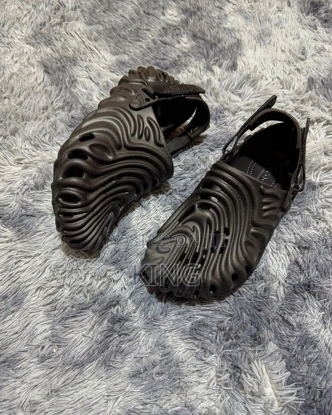Zani Crocs Black