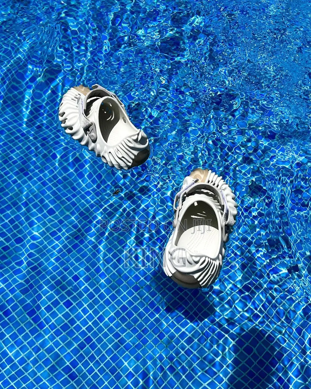 Zany Crocs