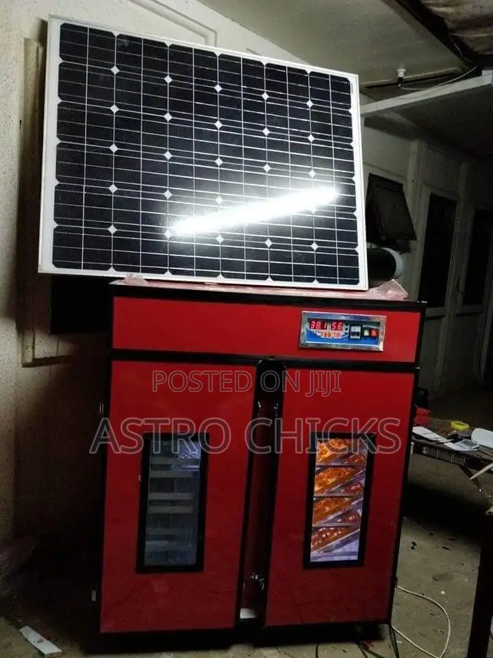 Smart Solar Egg Incubator