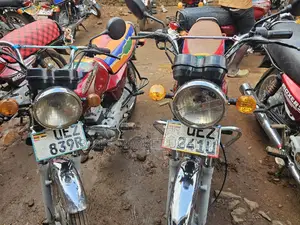 Bajaj Boxer 2019 Red