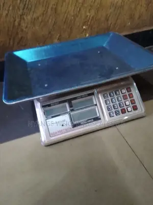 Best Price Weighing Scales 60kg Weigh Accurate Weighing Scale