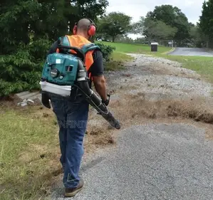 4 Stroke Air Blower Backpack