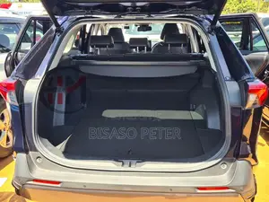 Toyota RAV4 2019 Blue