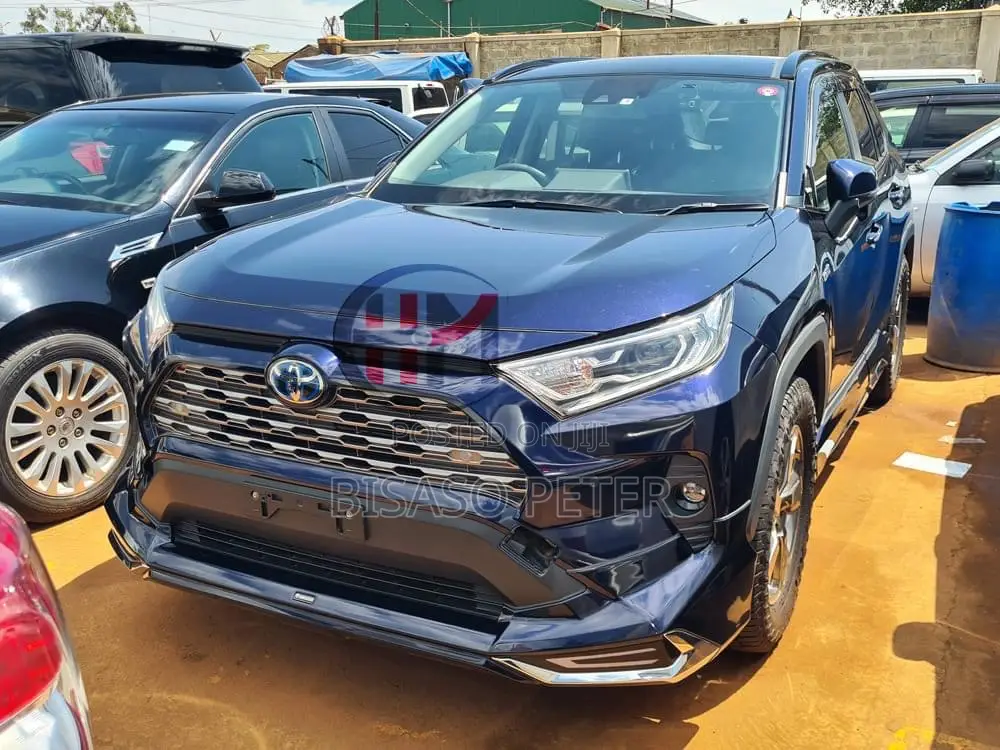 Toyota RAV4 2019 Blue