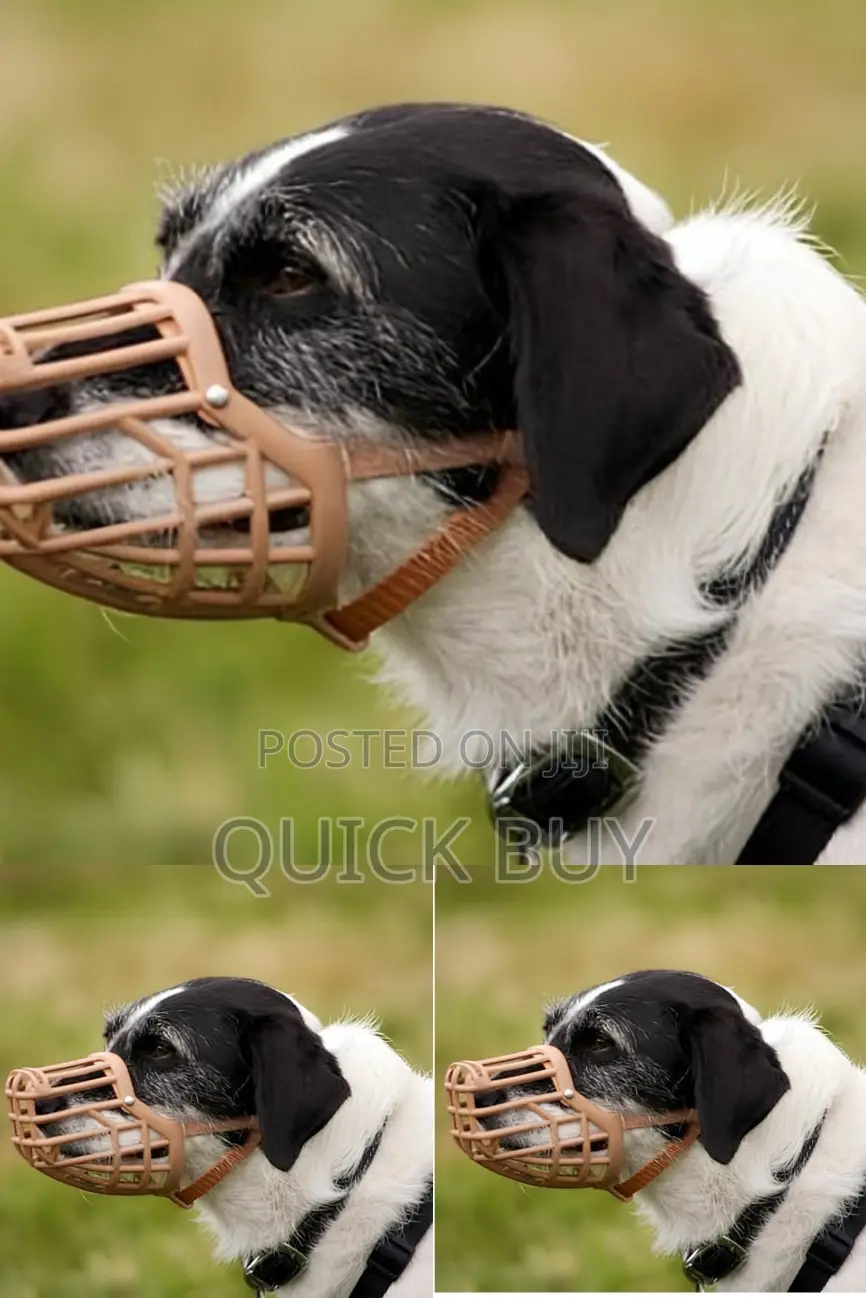 High Quality Dog Collar