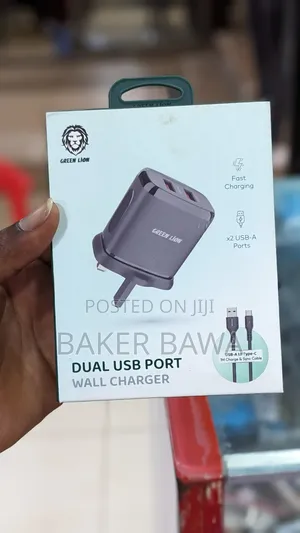 Green Lion Dual USB Port Wall Charger