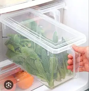 Plastic Fridge Storage Containers