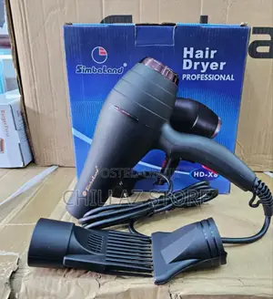 Professional Electric Hair Dryer