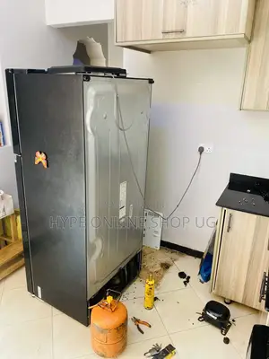 Lg Fridge Professional Repair Service