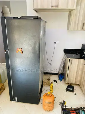 Lg Fridge Professional Repair Service