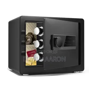 Fingerprint Mini Safe