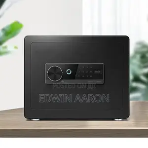 Fingerprint Mini Safe