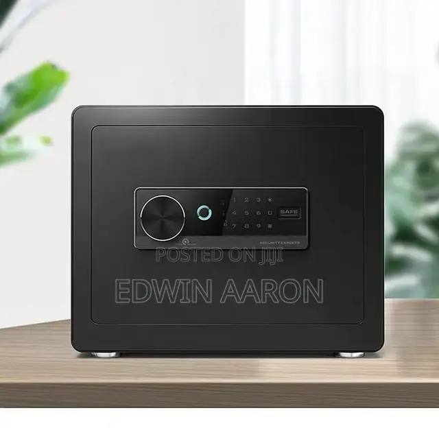 Fingerprint Mini Safe