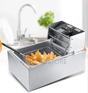 Electric Deep Fryer