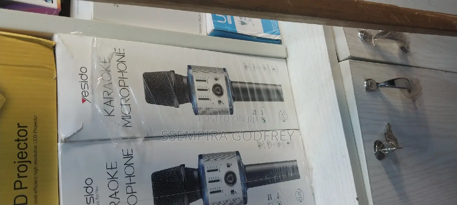 Karoake Microphone