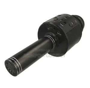 Karoake Microphone