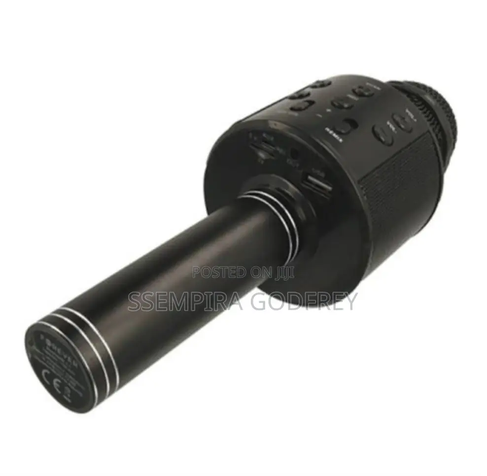 Karoake Microphone