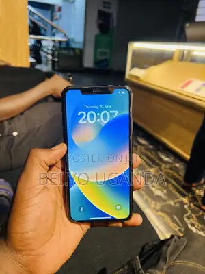 Apple iPhone 11 Pro Max 256 GB Gray