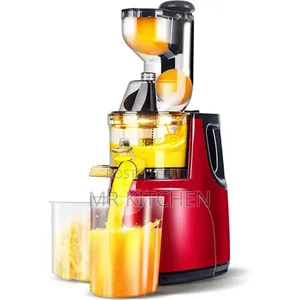 Dream Star Slow Juicer