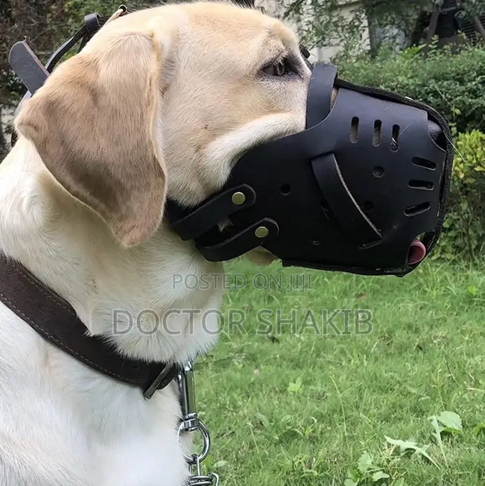 Very High Quality Dog Nozzle-Black