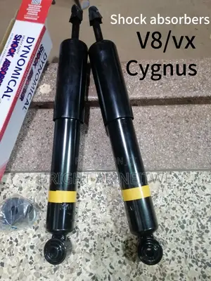 Shock Absorbers for Land Cruiser V8,Cygnus