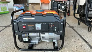 1kw Runner Generator Recoil Start/ German Make