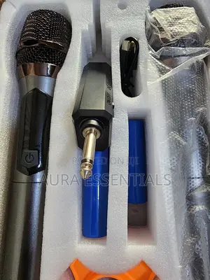 Dual Rechargeable Wireless Microphone