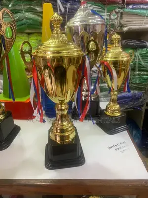 Medium Size Trophies