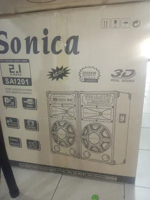 Professional Speaker System