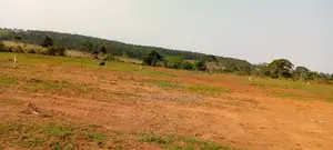 Nem Real Estate Investment