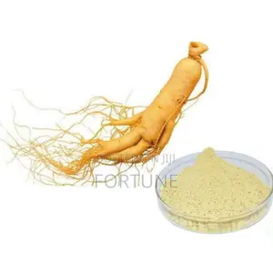 Ginseng Powder 100g