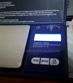 1000g/0.1g Digital Portable Mineral Scale (001)