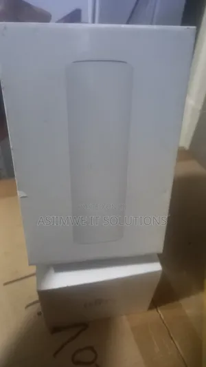 Access Point U6 Mesh