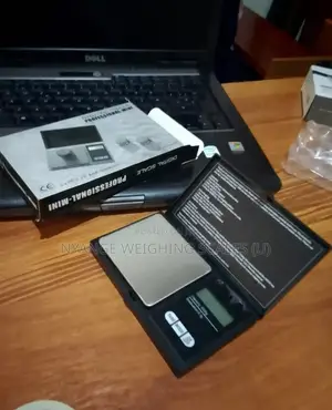 1000g/0.1g Weigh Digital Weigh Scale Portable Mineral Weighing Scale