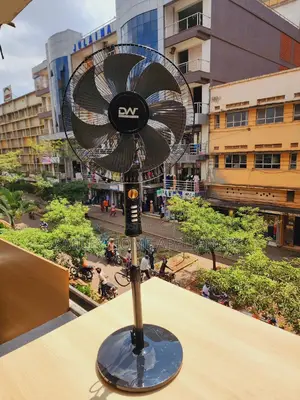 DW Stand Fan Black
