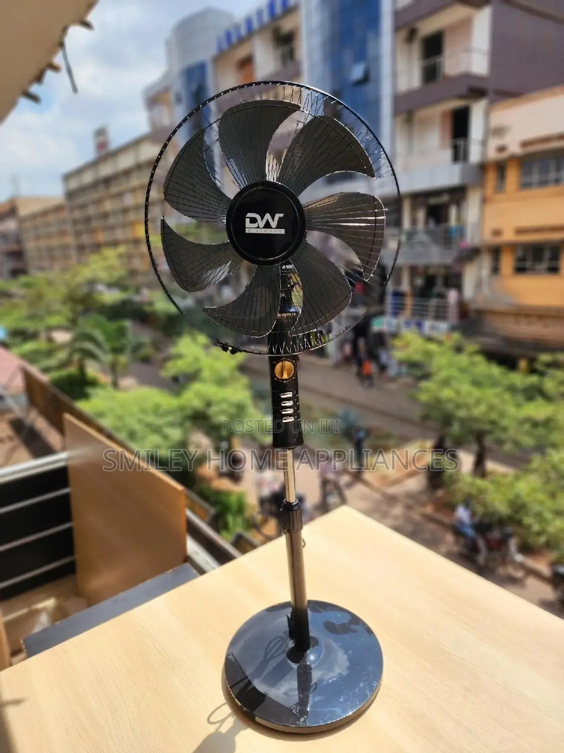 Newly Imported DW Stand Fan