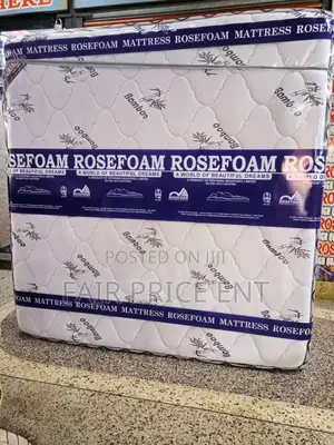Rosefoam Double Layer Spring Mattress. 6*6*10inches.(White)