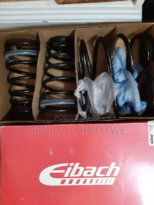 Coil Springs for All Saloon and Suv Cars