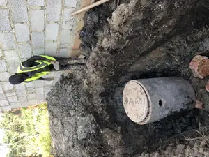 Swamps Biodigester Septic Tank System