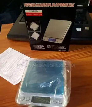 Mini Weighing Scale Digital Portable Weighing Scale 500g/0.01g Weights