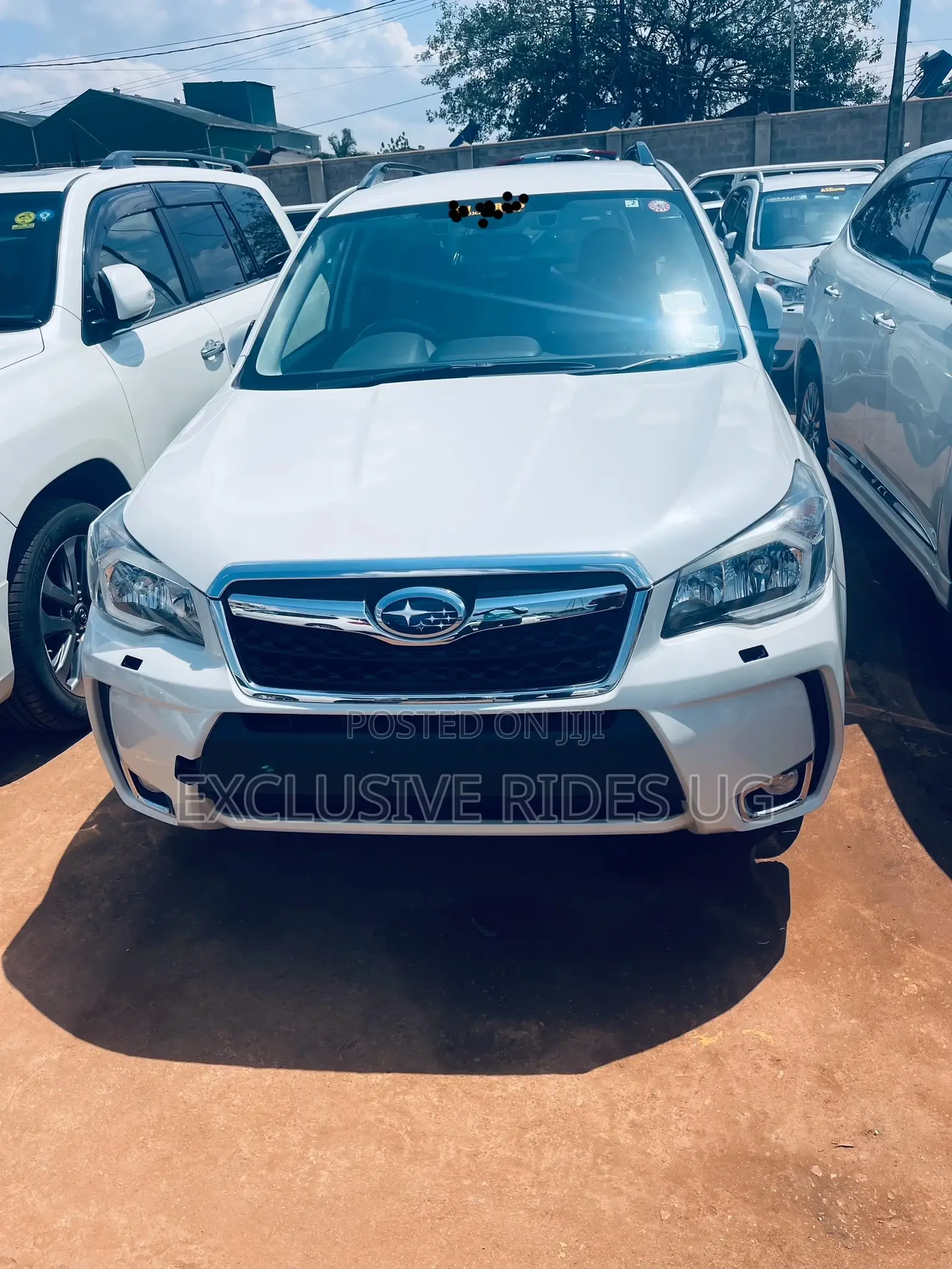 Subaru Forester 2014 White