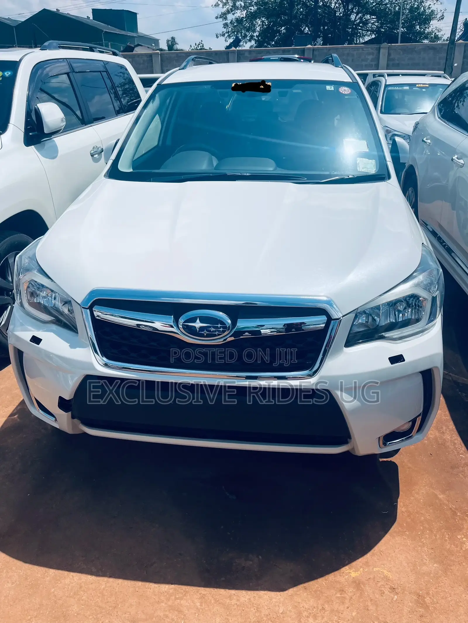 Subaru Forester 2014 White
