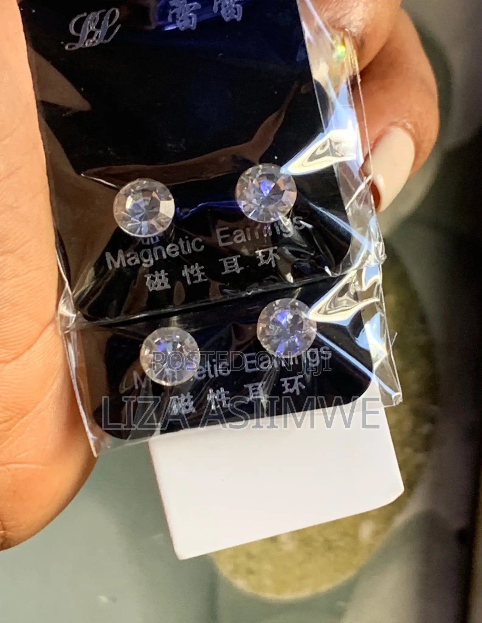 Magnetic Earpins