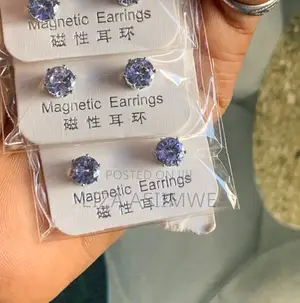 Magnetic Earpins