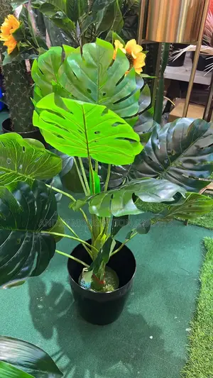 Artificial Plant and Flowers